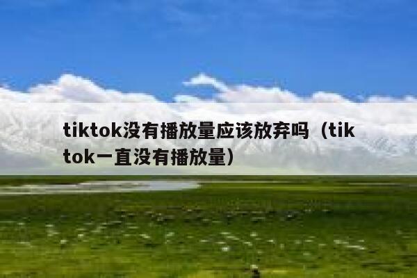 tiktok没有播放量应该放弃吗（tiktok一直没有播放量） 第1张