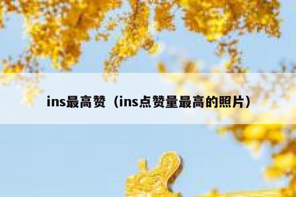 ins最高赞（ins点赞量最高的照片） 第1张