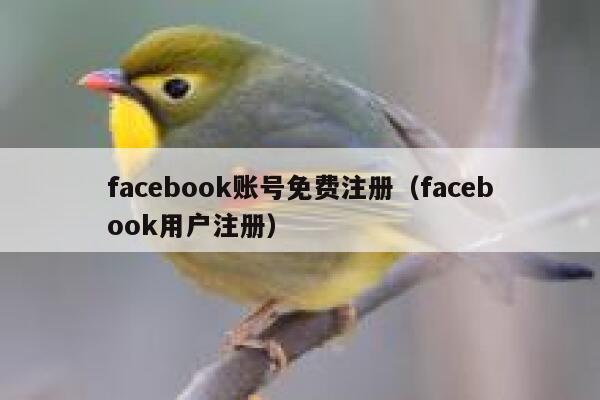 facebook账号免费注册（facebook用户注册） 第1张