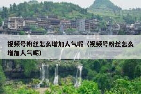 视频号粉丝怎么增加人气呢（视频号粉丝怎么增加人气呢） 第1张