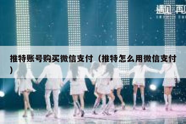 推特账号购买微信支付（推特怎么用微信支付） 第1张