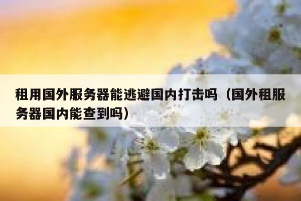 租用国外服务器能逃避国内打击吗（国外租服务器国内能查到吗） 第1张