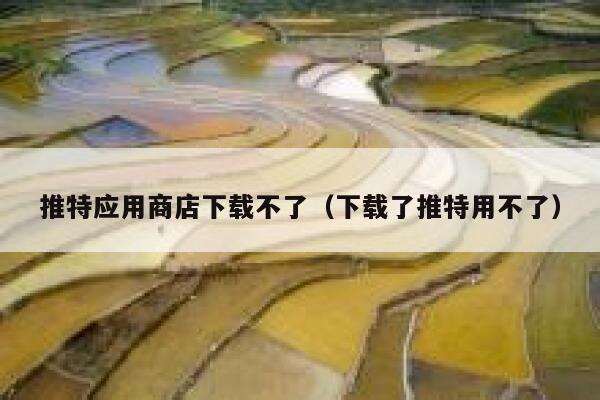 推特应用商店下载不了（下载了推特用不了） 第1张