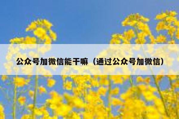 公众号加微信能干嘛（通过公众号加微信） 第1张