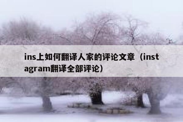 ins上如何翻译人家的评论文章（instagram翻译全部评论） 第1张