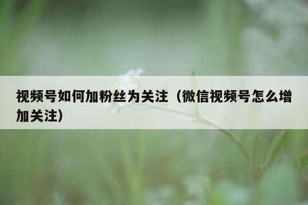 视频号如何加粉丝为关注（微信视频号怎么增加关注） 第1张