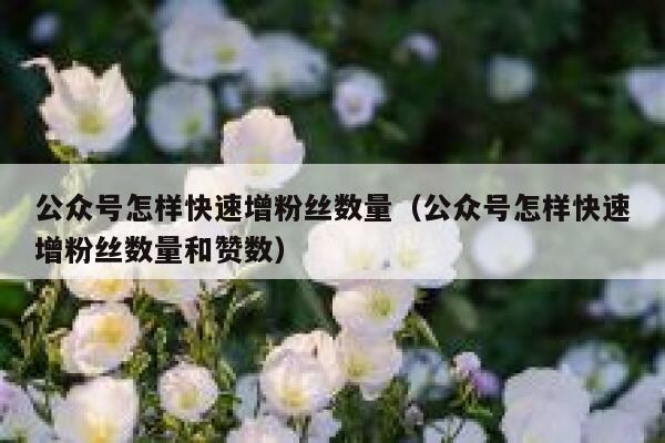 公众号怎样快速增粉丝数量（公众号怎样快速增粉丝数量和赞数） 第1张