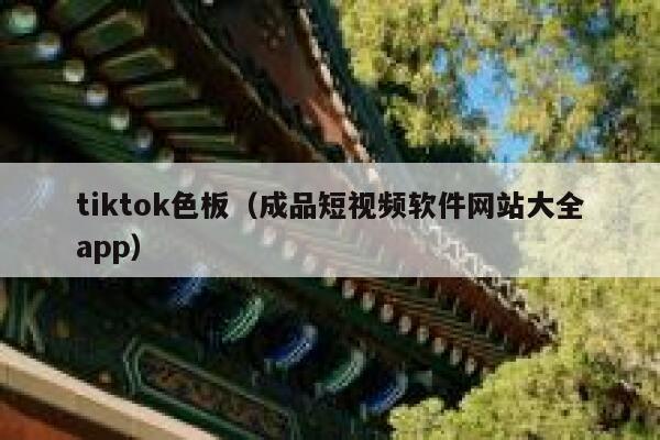 tiktok色板（成品短视频软件网站大全app） 第1张