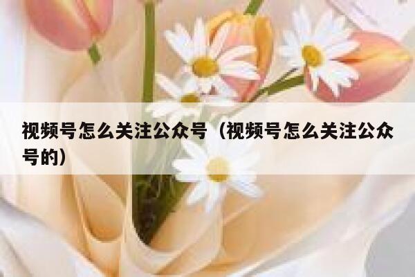 视频号怎么关注公众号（视频号怎么关注公众号的） 第1张