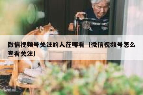 微信视频号关注的人在哪看（微信视频号怎么查看关注） 第1张