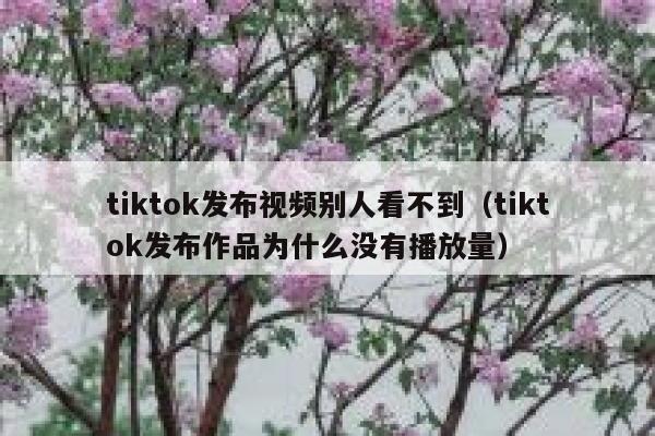 tiktok发布视频别人看不到（tiktok发布作品为什么没有播放量） 第1张
