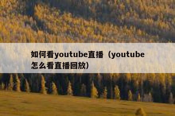 如何看youtube直播（youtube怎么看直播回放） 第1张