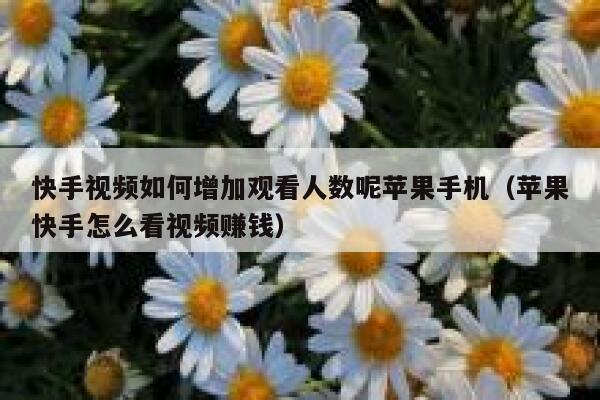 快手视频如何增加观看人数呢苹果手机（苹果快手怎么看视频赚钱） 第1张