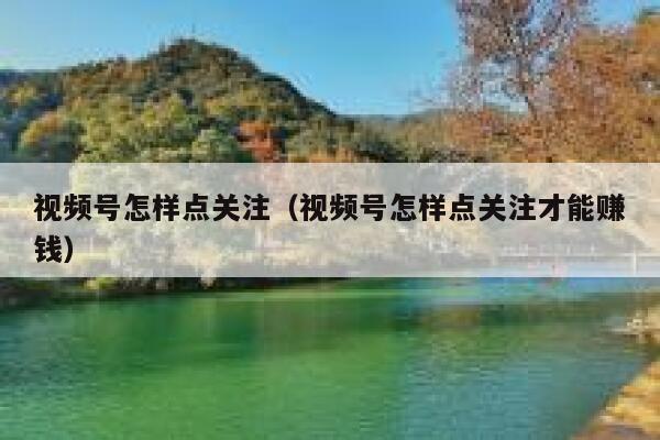 视频号怎样点关注（视频号怎样点关注才能赚钱） 第1张