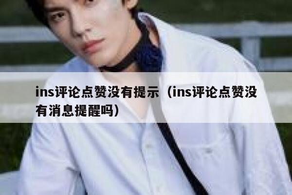 ins评论点赞没有提示（ins评论点赞没有消息提醒吗） 第1张