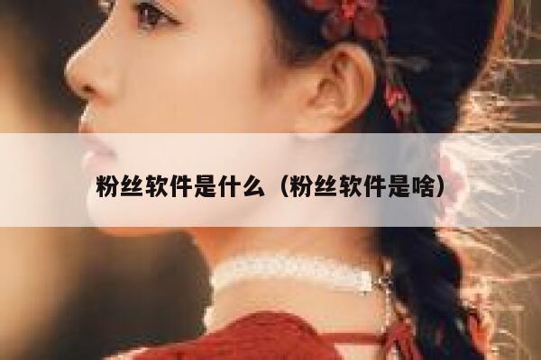 粉丝软件是什么（粉丝软件是啥） 第1张