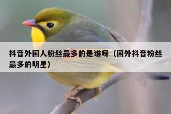 抖音外国人粉丝最多的是谁呀（国外抖音粉丝最多的明星） 第1张