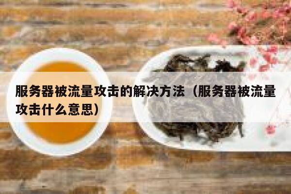 服务器被流量攻击的解决方法（服务器被流量攻击什么意思） 第1张