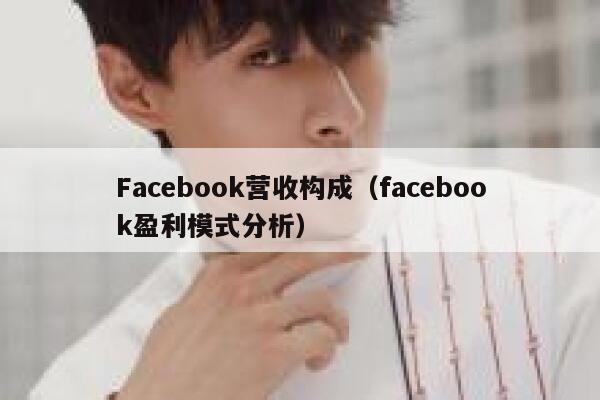Facebook营收构成（facebook盈利模式分析） 第1张