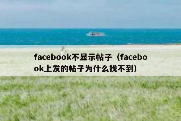 facebook不显示帖子（facebook上发的帖子为什么找不到） 第1张