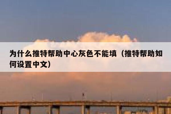 为什么推特帮助中心灰色不能填（推特帮助如何设置中文） 第1张
