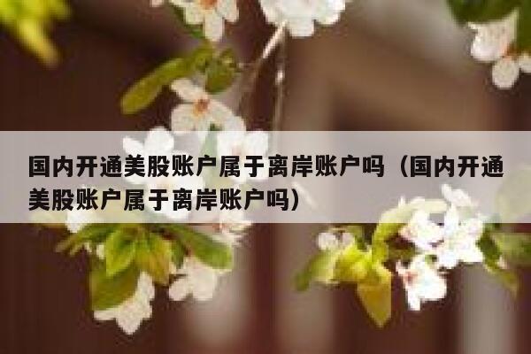 国内开通美股账户属于离岸账户吗（国内开通美股账户属于离岸账户吗） 第1张