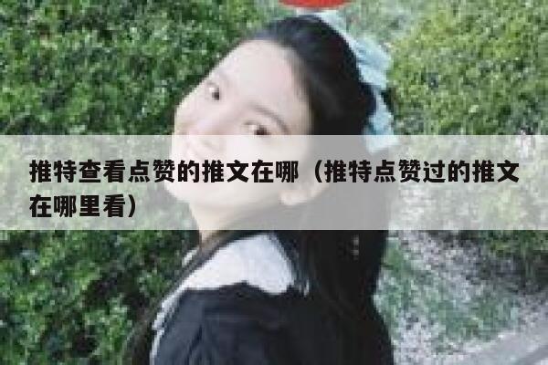 推特查看点赞的推文在哪（推特点赞过的推文在哪里看） 第1张
