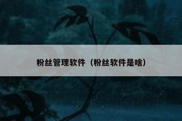 粉丝管理软件（粉丝软件是啥） 第1张
