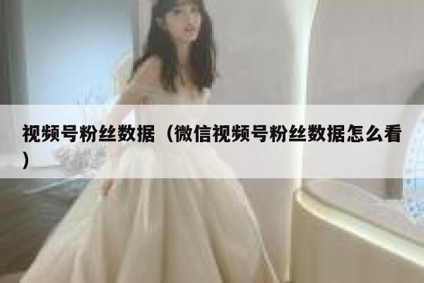 视频号粉丝数据（微信视频号粉丝数据怎么看） 第1张