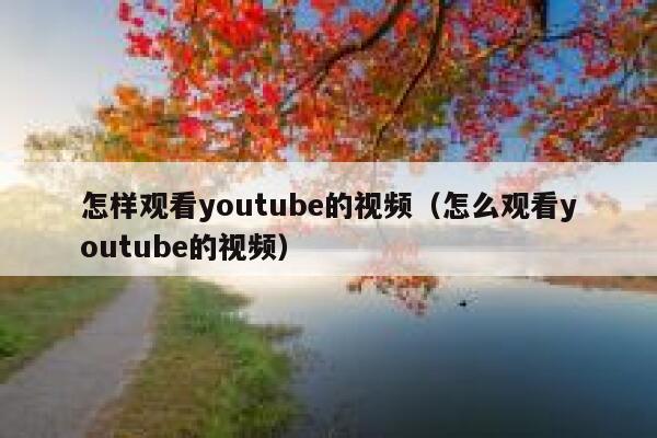 怎样观看youtube的视频（怎么观看youtube的视频） 第1张