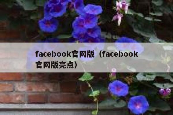 facebook官网版（facebook官网版亮点） 第1张