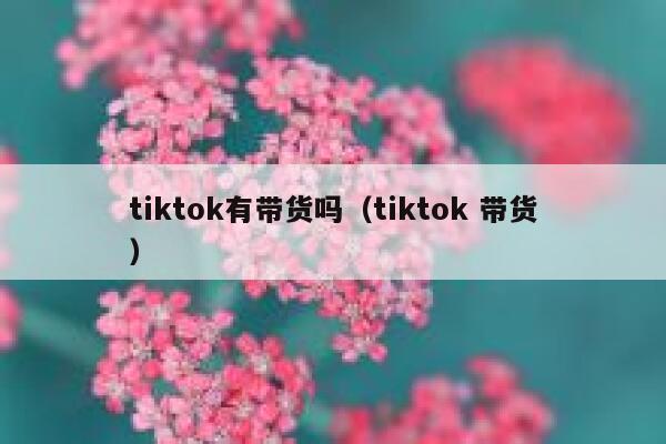 tiktok有带货吗（tiktok 带货） 第1张