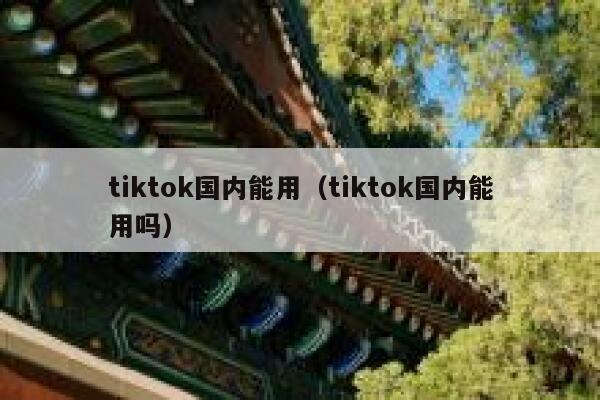tiktok国内能用（tiktok国内能用吗） 第1张