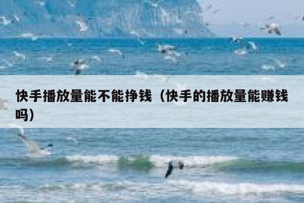 快手播放量能不能挣钱（快手的播放量能赚钱吗） 第1张