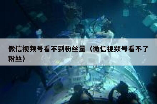 微信视频号看不到粉丝量（微信视频号看不了粉丝） 第1张