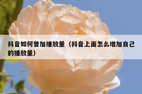 抖音如何曾加播放量（抖音上面怎么增加自己的播放量） 第1张
