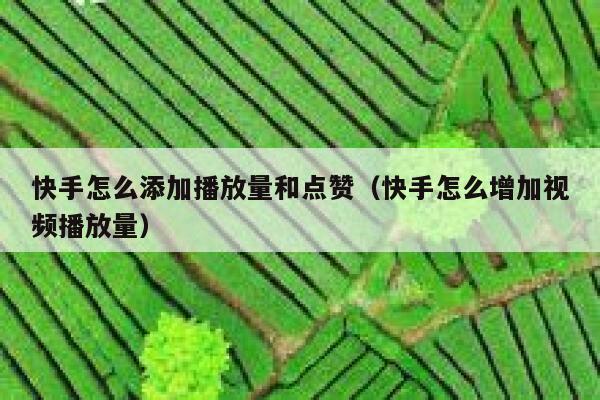 快手怎么添加播放量和点赞（快手怎么增加视频播放量） 第1张
