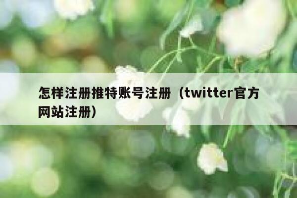 怎样注册推特账号注册（twitter官方网站注册） 第1张