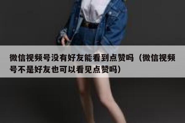 微信视频号没有好友能看到点赞吗（微信视频号不是好友也可以看见点赞吗） 第1张