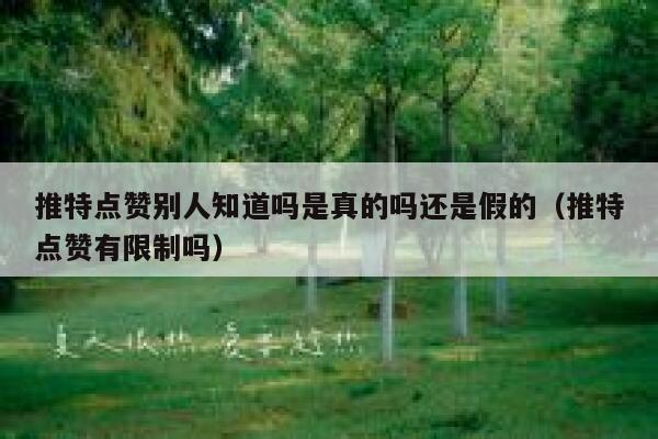 推特点赞别人知道吗是真的吗还是假的（推特点赞有限制吗） 第1张