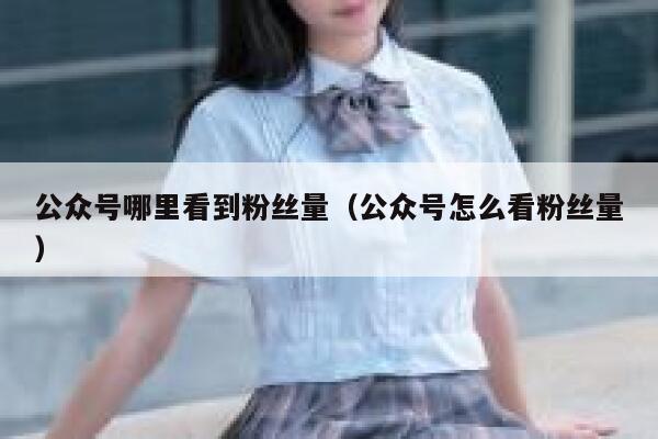 公众号哪里看到粉丝量（公众号怎么看粉丝量） 第1张