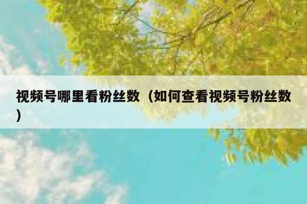 视频号哪里看粉丝数（如何查看视频号粉丝数） 第1张