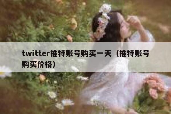 twitter推特账号购买一天（推特账号购买价格） 第1张