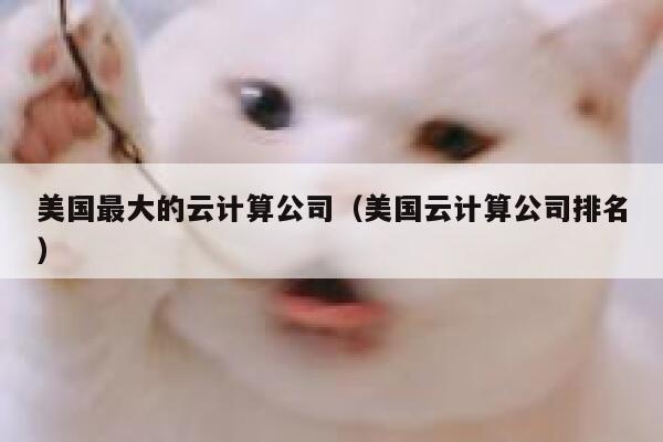 美国最大的云计算公司（美国云计算公司排名） 第1张