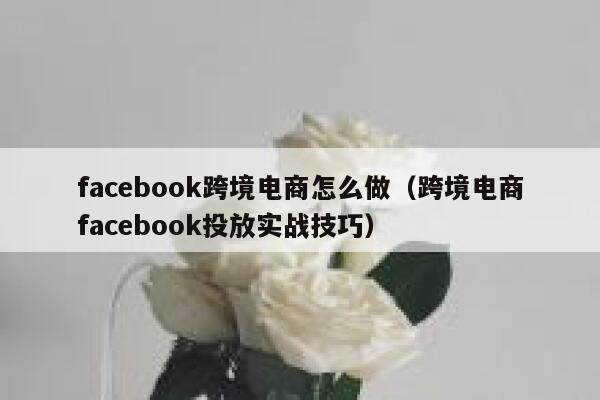 facebook跨境电商怎么做（跨境电商facebook投放实战技巧） 第1张