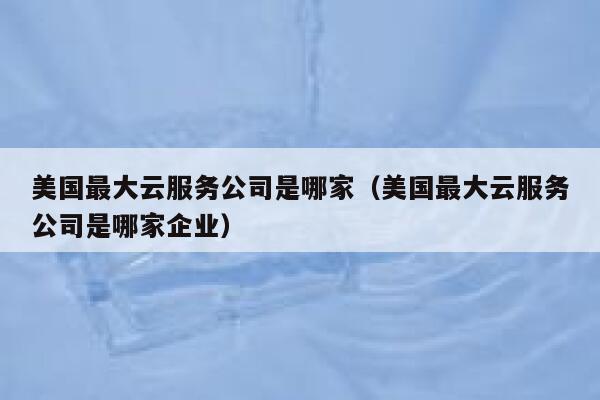 美国最大云服务公司是哪家（美国最大云服务公司是哪家企业） 第1张