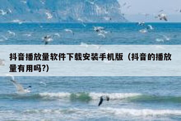 抖音播放量软件下载安装手机版（抖音的播放量有用吗?） 第1张