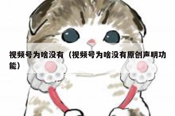 视频号为啥没有（视频号为啥没有原创声明功能） 第1张