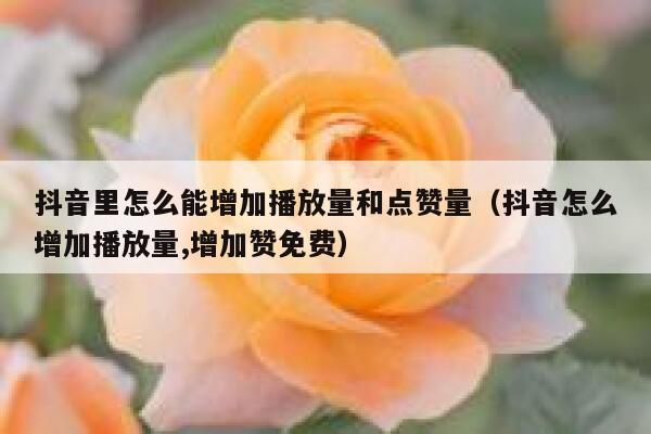 抖音里怎么能增加播放量和点赞量（抖音怎么增加播放量,增加赞免费） 第1张