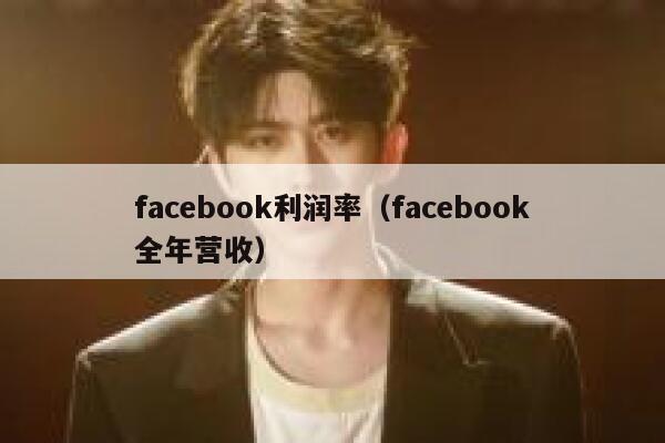 facebook利润率（facebook全年营收） 第1张